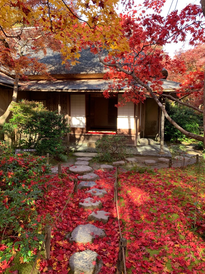 Okochi Sanso Villa gardens path autumn leaves colors